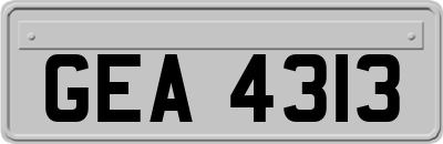 GEA4313