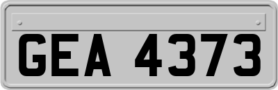 GEA4373