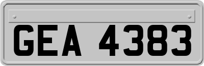 GEA4383