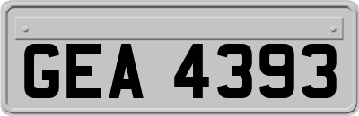 GEA4393