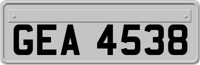 GEA4538