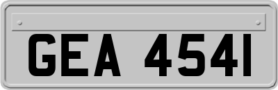 GEA4541