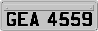 GEA4559