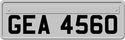GEA4560