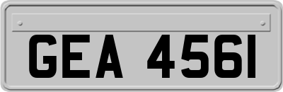 GEA4561