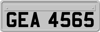 GEA4565