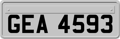GEA4593