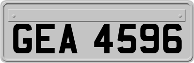 GEA4596