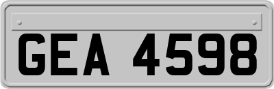 GEA4598
