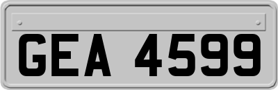GEA4599