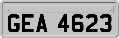 GEA4623