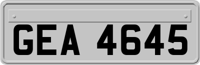 GEA4645
