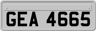 GEA4665