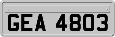 GEA4803