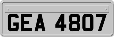 GEA4807