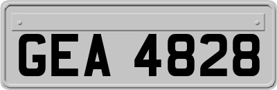 GEA4828