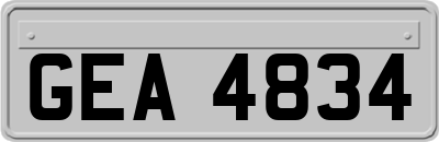 GEA4834