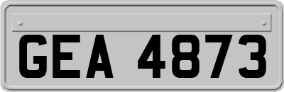 GEA4873