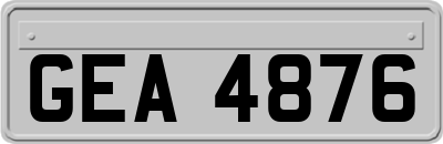 GEA4876