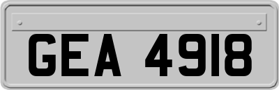 GEA4918