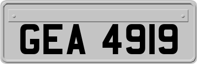 GEA4919