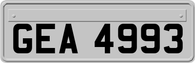 GEA4993