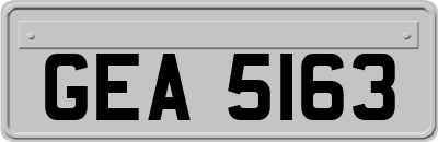 GEA5163