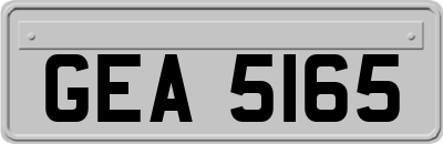 GEA5165