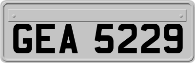 GEA5229