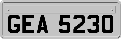 GEA5230