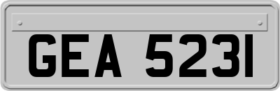 GEA5231