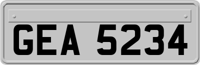 GEA5234