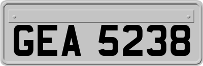 GEA5238