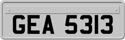 GEA5313