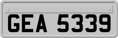 GEA5339