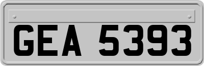GEA5393