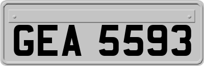 GEA5593