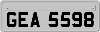 GEA5598