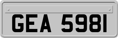 GEA5981