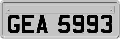 GEA5993