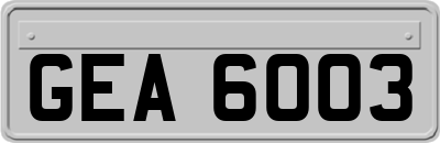 GEA6003