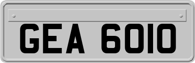 GEA6010