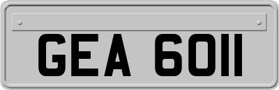 GEA6011