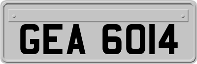 GEA6014