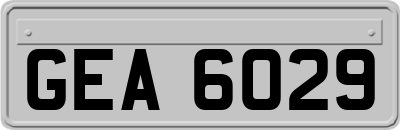 GEA6029