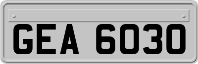 GEA6030