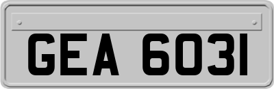 GEA6031