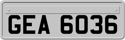 GEA6036