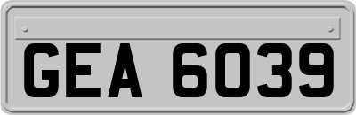 GEA6039