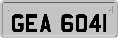 GEA6041